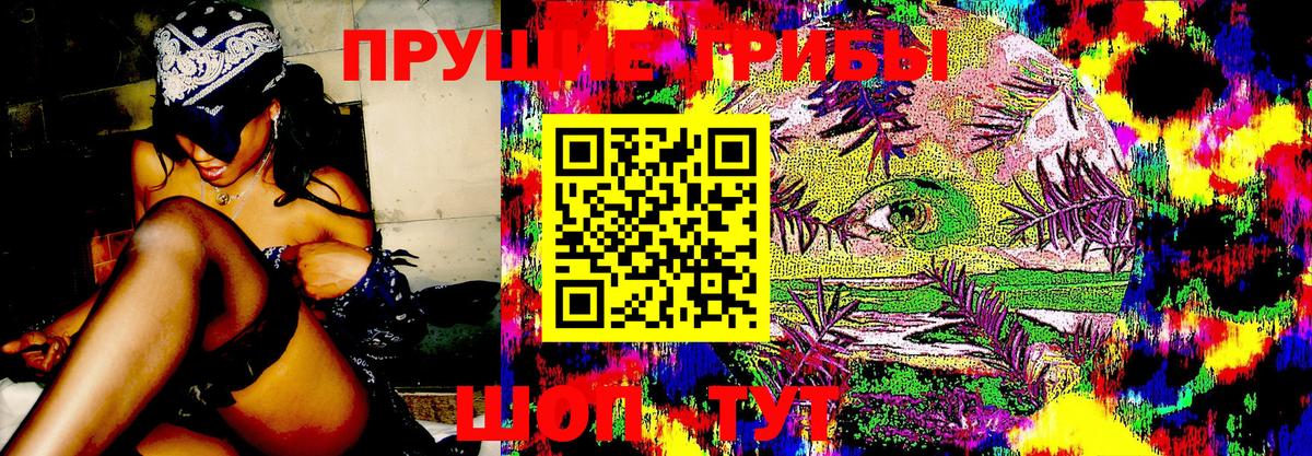 Псилоцибиновые грибы Magic Shrooms Сосновоборск